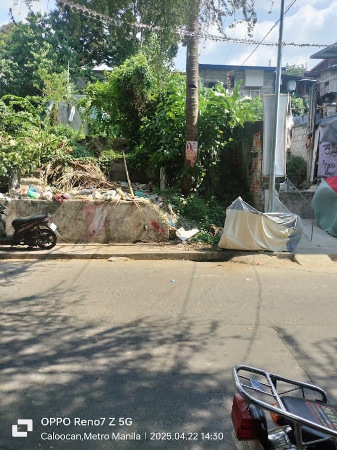 VACANT LOT FOR SALE ALONG PILI ST CAMARIN CALOOCAN CITY — photo 3 of 3