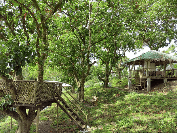INCOME-GENERATING 1.4+ HECTARE COMMERCIAL–AGRICULTURAL ESTATE | TURNKEY OPERATIONS — photo 1 of 3