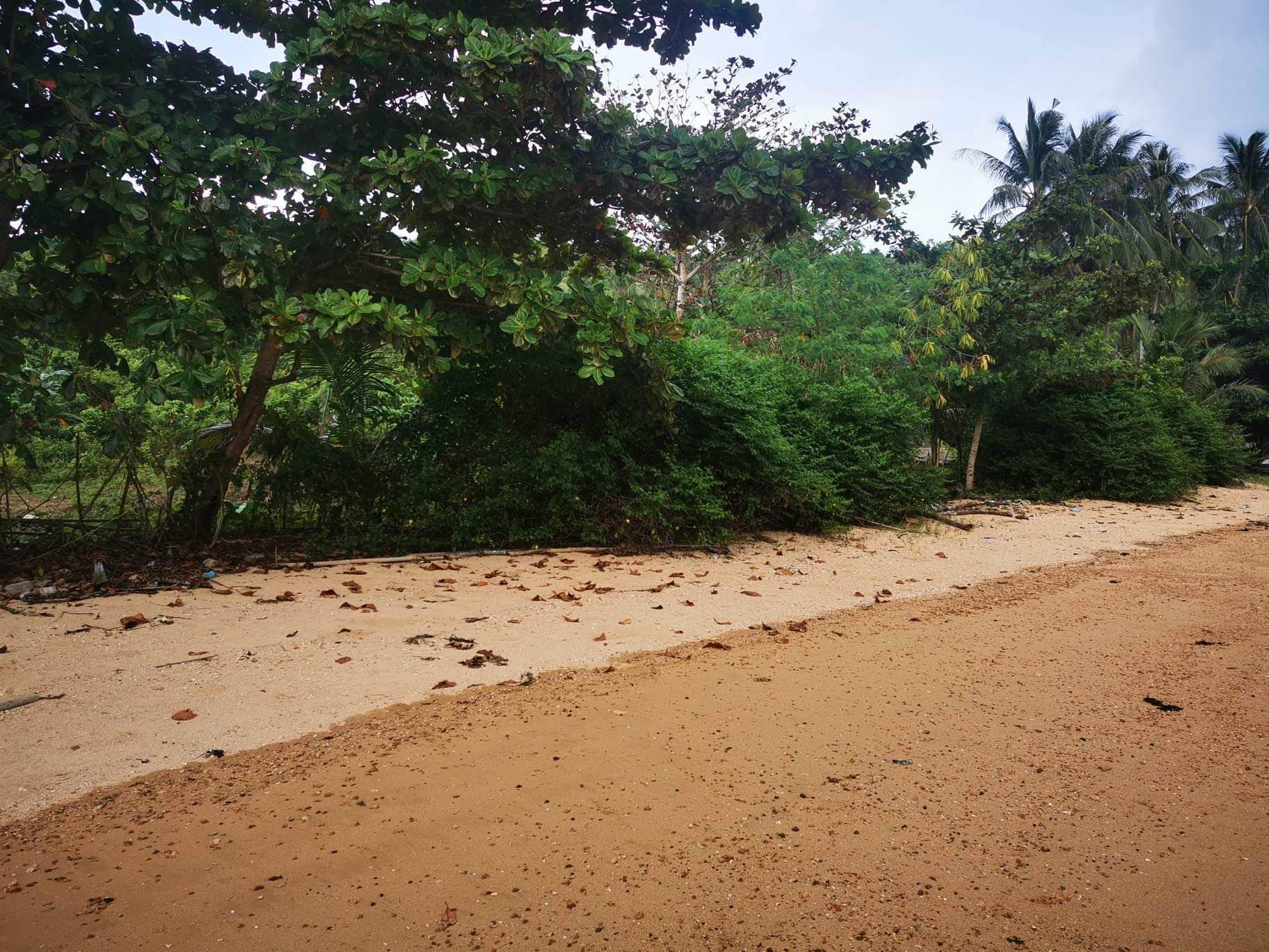 BEACH LOT FOR SALE IN SAN VICENTE PALAWAN — photo 2 of 3