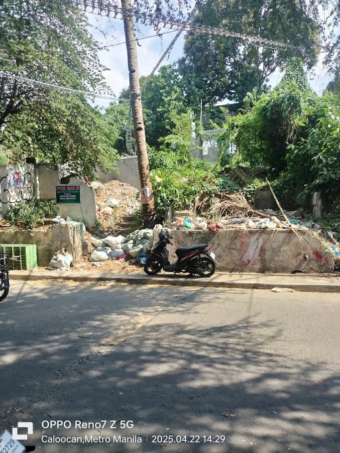 VACANT LOT FOR SALE ALONG PILI ST CAMARIN CALOOCAN CITY — photo 1 of 3