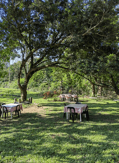 INCOME-GENERATING 1.4+ HECTARE COMMERCIAL–AGRICULTURAL ESTATE | TURNKEY OPERATIONS — photo 2 of 3