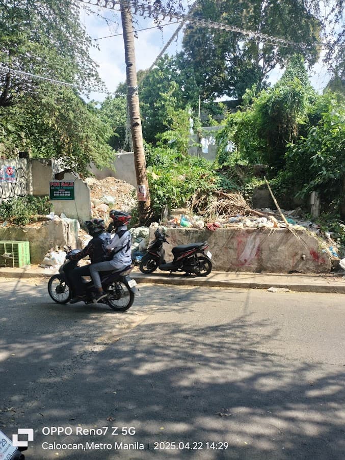 VACANT LOT FOR SALE ALONG PILI ST CAMARIN CALOOCAN CITY — photo 2 of 3