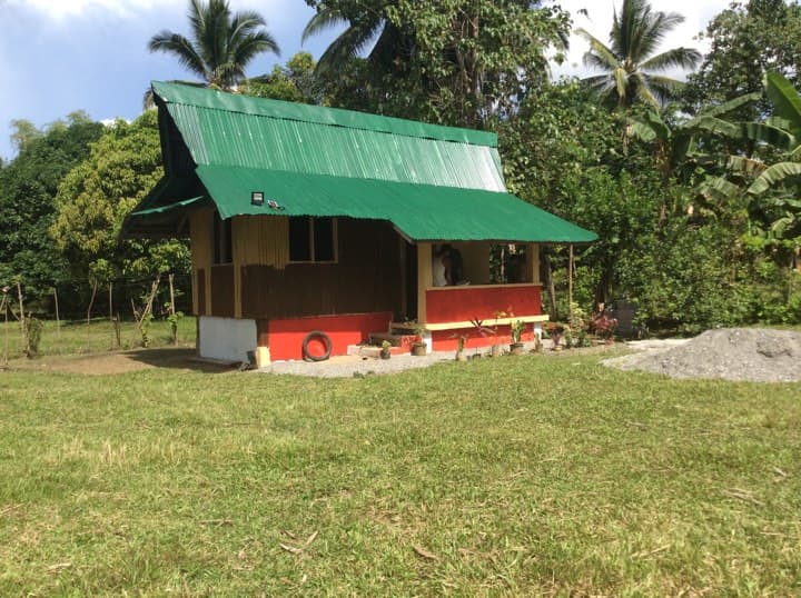 MANGO FARM 5 HECTARES FOR SALE BONGABONG ORIENTAL MINDORO — photo 1 of 3