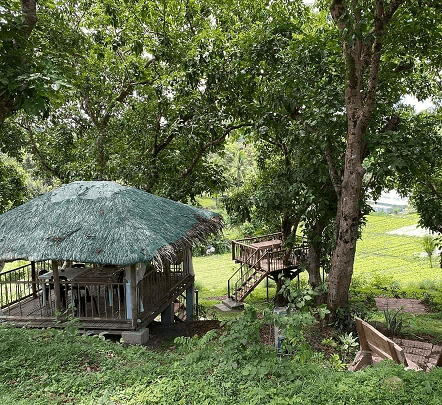 INCOME-GENERATING 1.4+ HECTARE COMMERCIAL–AGRICULTURAL ESTATE | TURNKEY OPERATIONS — photo 3 of 3