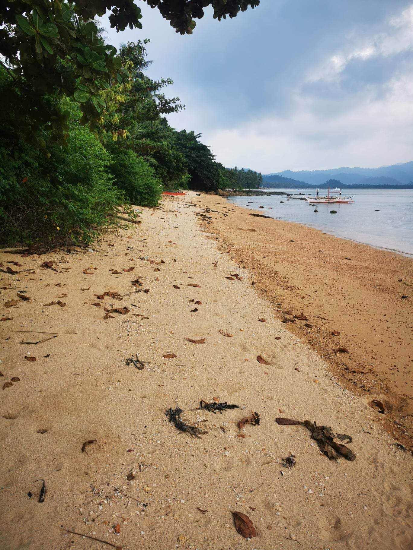 BEACH LOT FOR SALE IN SAN VICENTE PALAWAN — photo 1 of 3