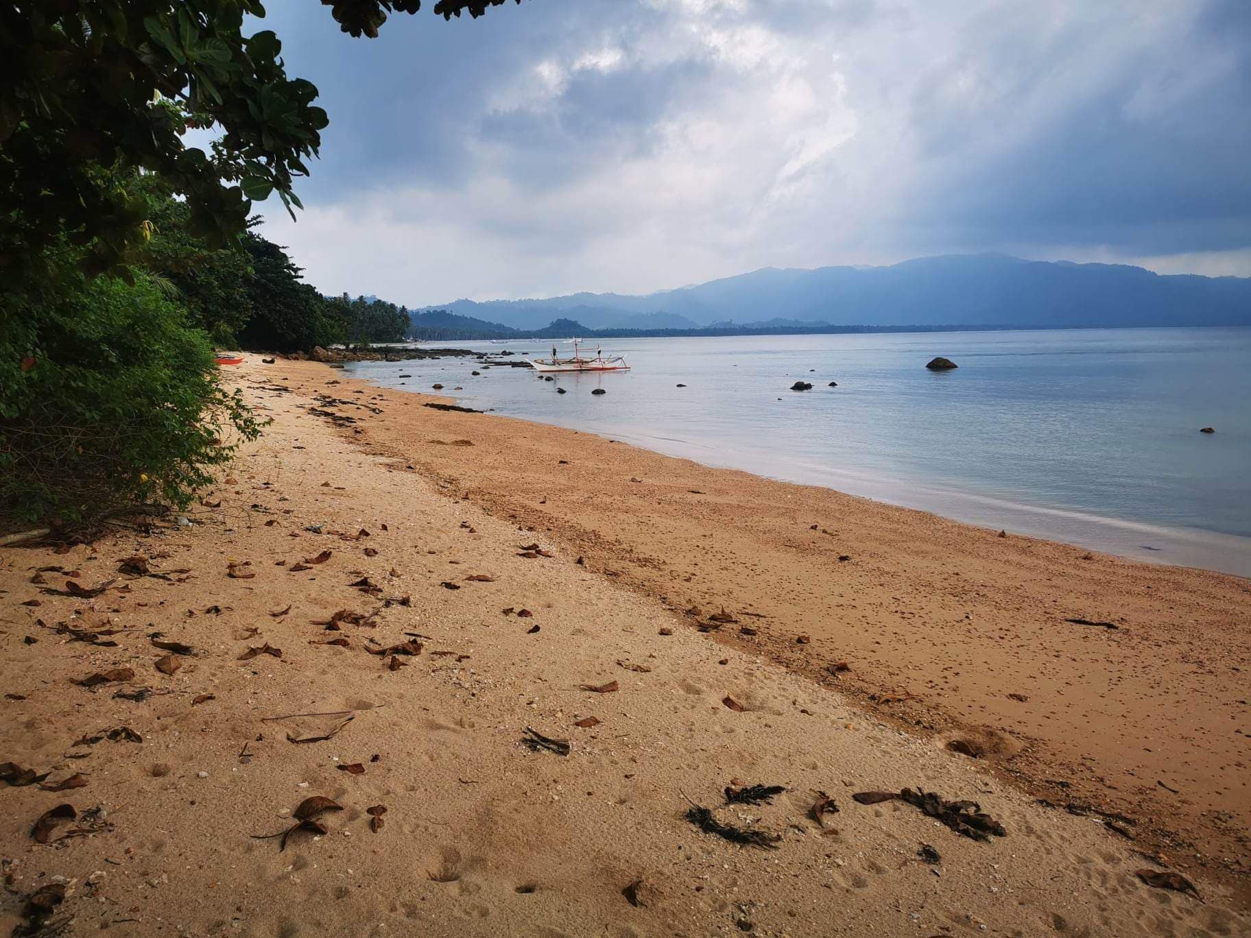 BEACH LOT FOR SALE IN SAN VICENTE PALAWAN — photo 3 of 3