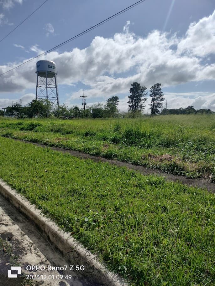 Prime Lot For Sale Eagle Ridge Golf — photo 2 of 3